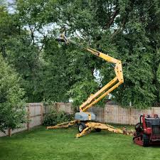 Best Storm Damage Tree Cleanup  in Hasbrouck Heights, NJ