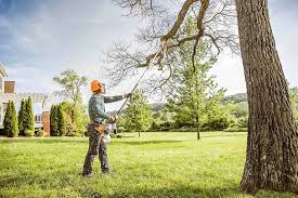 Best Landscape Design and Installation  in Hasbrouck Heights, NJ