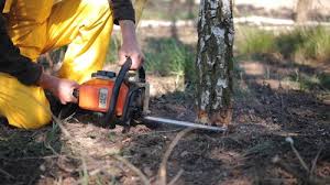 Best Seasonal Cleanup (Spring/Fall)  in Hasbrouck Heights, NJ