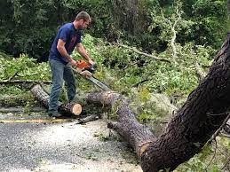 Best Lawn Grading and Leveling  in Hasbrouck Heights, NJ